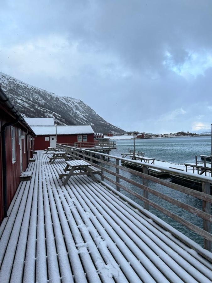 Lofotbua Holiday home